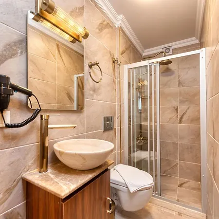 Отель Brown 2 Mansion Oldcity Стамбул