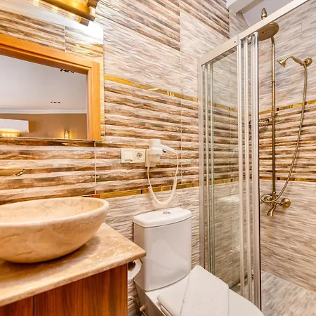 Brown 2 Mansion Oldcity Otel