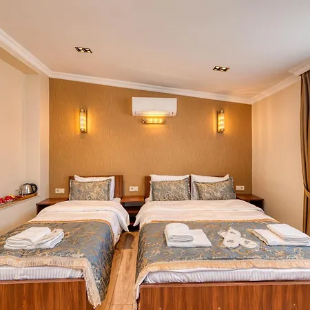 Brown 2 Mansion Oldcity Hotel Istambul