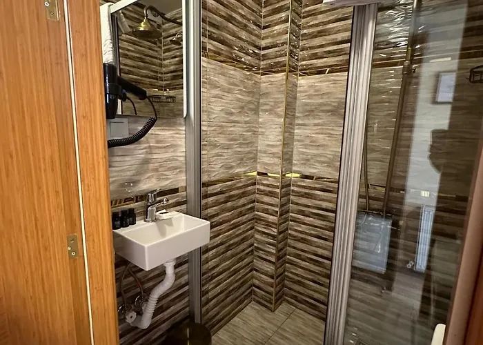 酒店 Brown 2 Mansion Oldcity