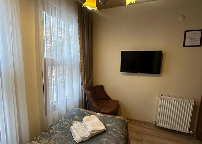 Brown 2 Mansion Oldcity 伊斯坦布尔