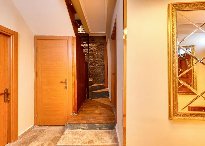 Brown 2 Mansion Oldcity 伊斯坦布尔