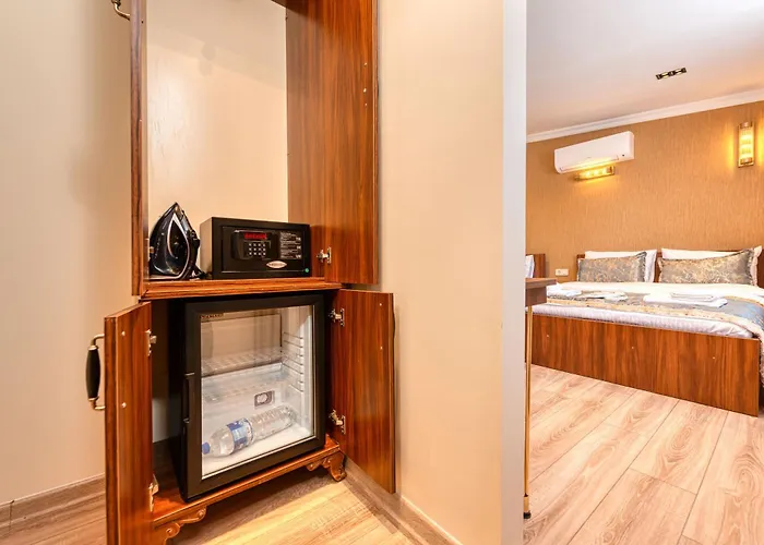 Brown 2 Mansion Oldcity 酒店 伊斯坦布尔