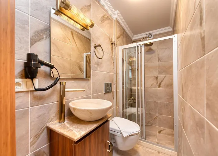 酒店 Brown 2 Mansion Oldcity 伊斯坦布尔