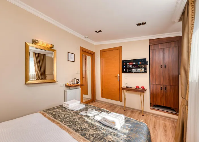 Brown 2 Mansion Oldcity 伊斯坦布尔