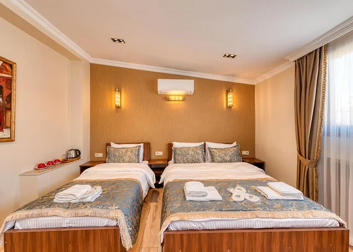 Brown 2 Mansion Oldcity 酒店 伊斯坦布尔