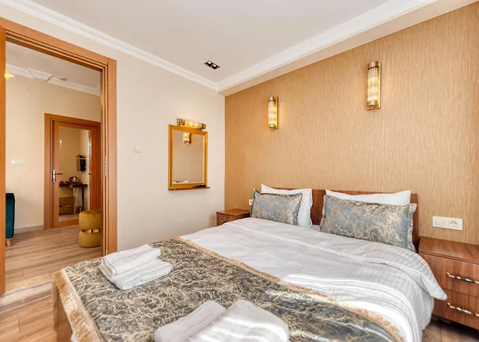 Brown 2 Mansion Oldcity 伊斯坦布尔