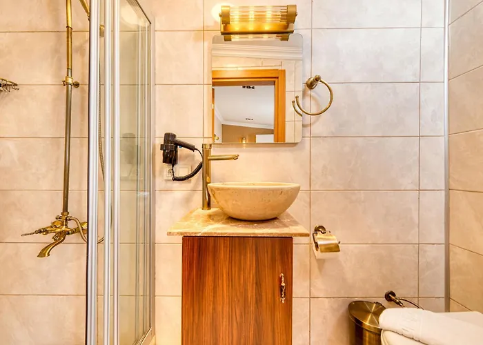 Brown 2 Mansion Oldcity 酒店