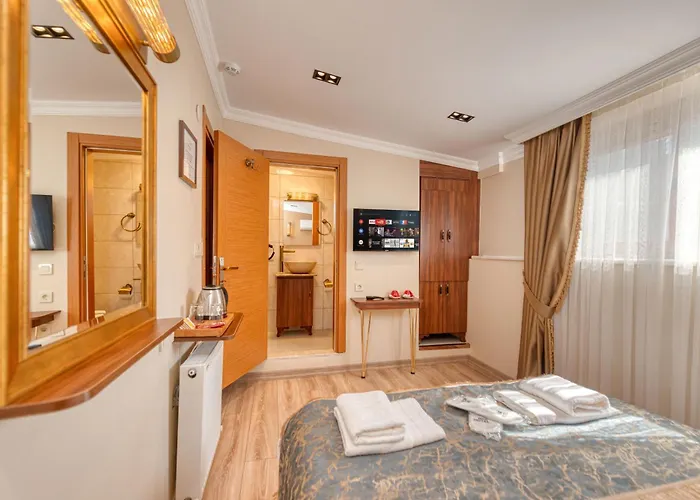 Brown 2 Mansion Oldcity * 伊斯坦布尔