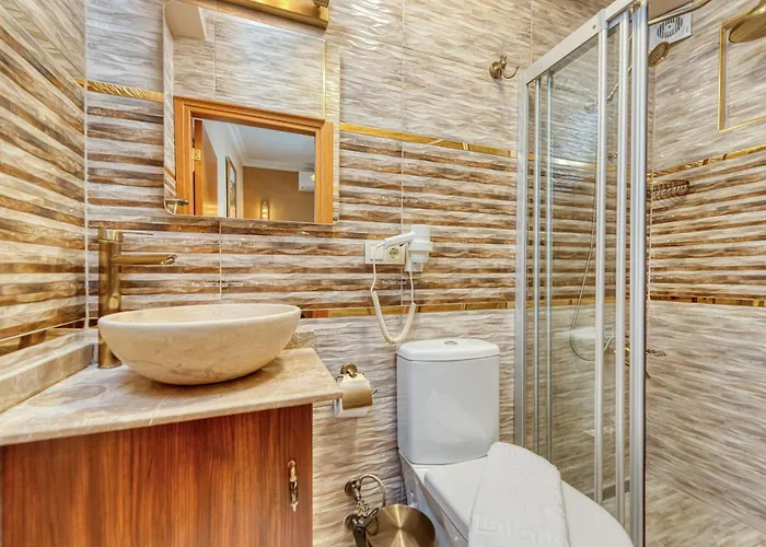 酒店 Brown 2 Mansion Oldcity