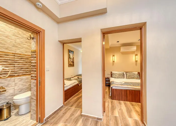 Brown 2 Mansion Oldcity 伊斯坦布尔