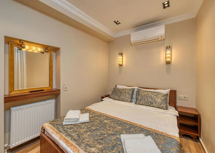 酒店 Brown 2 Mansion Oldcity 伊斯坦布尔