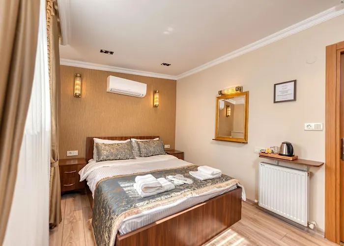 Brown 2 Mansion Oldcity * 伊斯坦布尔