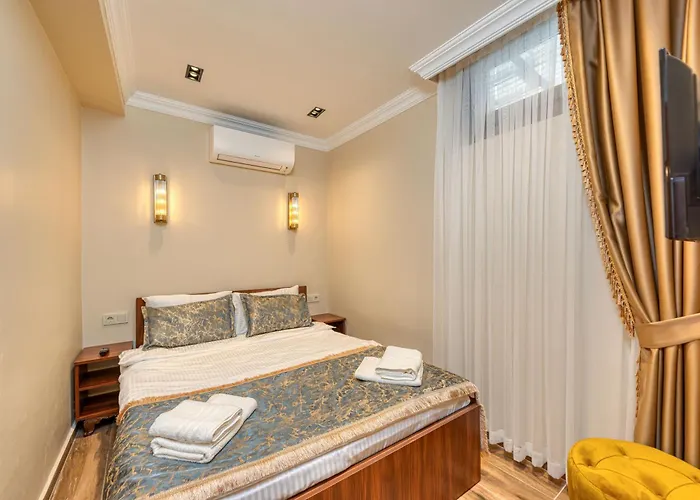Brown 2 Mansion Oldcity 酒店 伊斯坦布尔