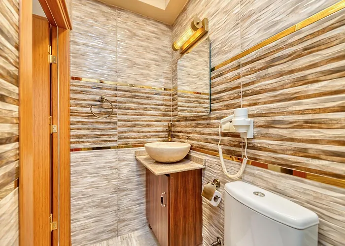 Brown 2 Mansion Oldcity 酒店 伊斯坦布尔