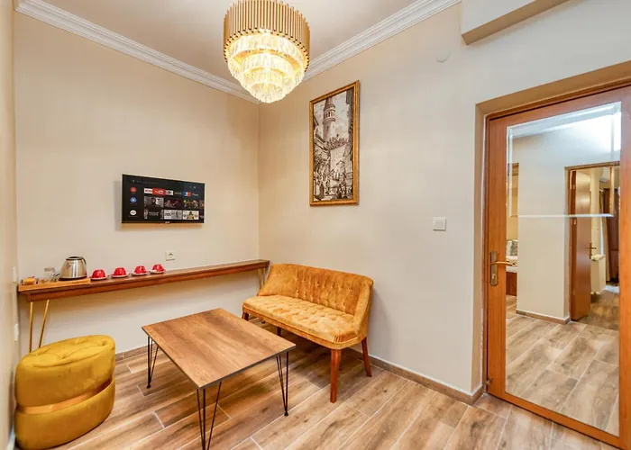 Brown 2 Mansion Oldcity * 伊斯坦布尔