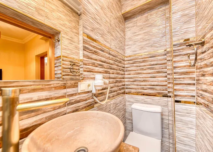 Brown 2 Mansion Oldcity 伊斯坦布尔