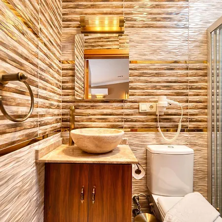 Brown 2 Mansion Oldcity